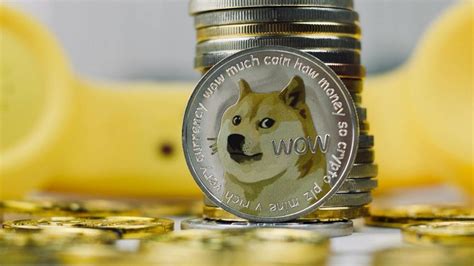 Shiba coin hakkında yorumlar